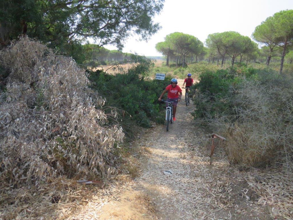 Village Camps International Summer Camp Chiclana, Spain 2017-07-28 https://www.villagecamps.com/journals_admin/images/1845-2239-file1 (135).jpg